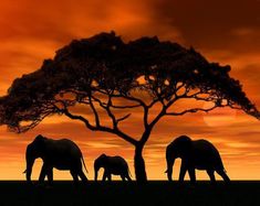 three elephants standing under a tree at sunset