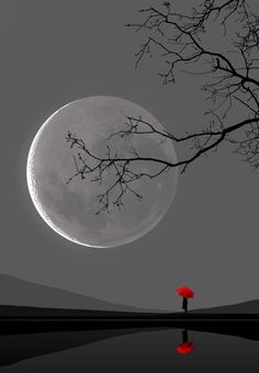 a person holding an umbrella standing in front of a tree with the moon behind them