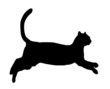 a black cat running across a white background