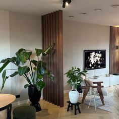 a living room filled with furniture and plants