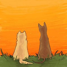 two cats are sitting in the grass looking at each other as the sun goes down