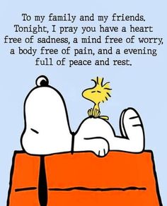 PEANUTS - Charlie Brown & Lovers | So true! | Facebook Charlie Brown Quotes, Uplifting Thoughts, Snoopy Images, Snoopy Quotes, Prayer Verses, Quotes Deep Feelings, Inspirational Prayers, Peanuts Gang, Bible Encouragement