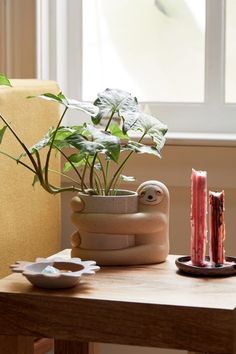 a potted plant sitting on top of a wooden table next to a candle holder