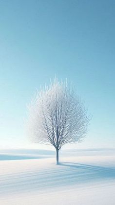 a lone tree in the middle of a snow covered field with no leaves on it