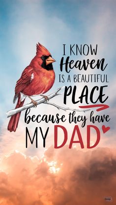 a red bird sitting on top of a branch with the words, i know heaven is a beautiful place because they have my dad