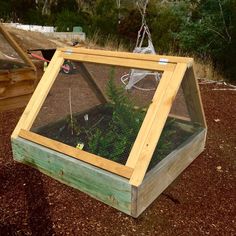 an outdoor garden area with a wooden frame and green plants in the center, surrounded by brown mulch