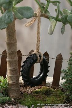 a tire sitting on the ground next to a tree and fence with plants growing around it