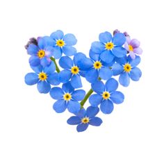 small blue flowers with yellow centers are arranged in the shape of a heart on a white background