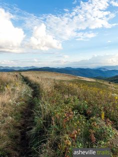 a trail winds through an open field with mountains in the background