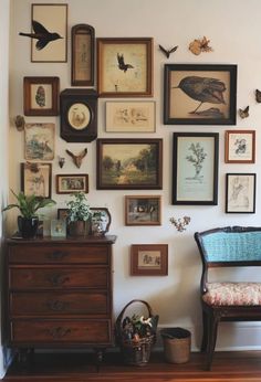 a wall filled with lots of framed pictures next to a wooden dresser and planter