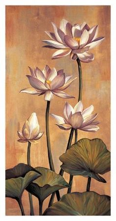 three white water lilies with green leaves in front of a brown background and yellow wall