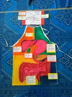 an apron made out of colored paper with information about the human body and parts attached to it