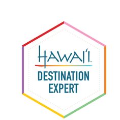 the hawaii destination expert logo with colorful hexagonal shapes and text that reads,