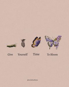 the words give yourself time to bloom are surrounded by butterflies and caterpillars