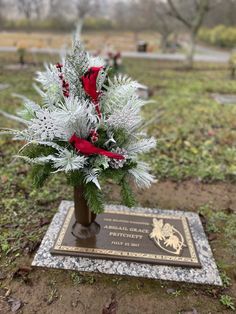 a christmas arrangement in a vase sitting on a plaque