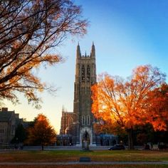 an image of a cathedral in the fall