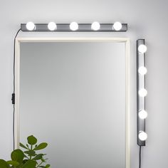 a mirror with lights on it and a potted plant