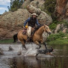 a man riding on the back of a brown horse across a river