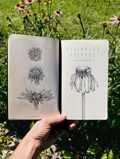 a hand holding an open book with drawings of flowers on it in front of some wildflowers