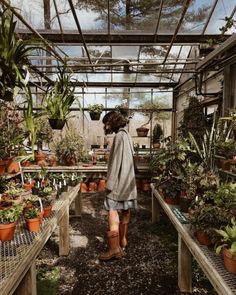 a woman standing in a greenhouse with lots of potted plants