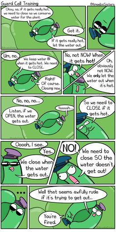 a comic strip with an image of a green frog and the caption that says, no