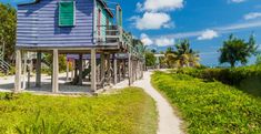 a small blue house on stilts next to the ocean with stairs leading up to it