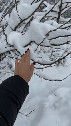 a hand reaching for something in the snow