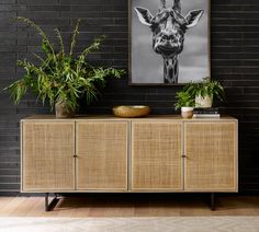 a giraffe is hanging on the wall next to a wooden cabinet and potted plants