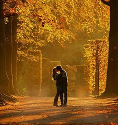 two people standing in the middle of a road surrounded by trees with yellow and orange leaves