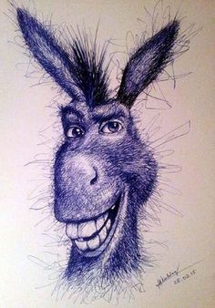 a pencil drawing of a donkey's face