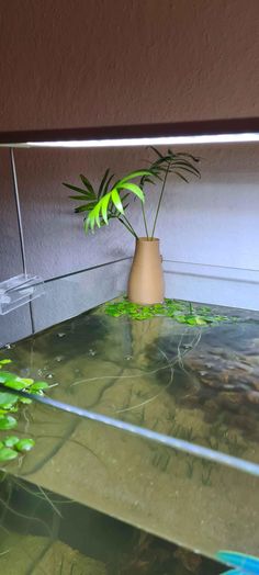 a plant in a vase sitting on top of a glass table next to some water