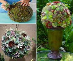 four different types of succulents and plants in vases with wire wrapped around them