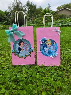 two pink bags with disney princess pictures on them sitting in the grass next to each other