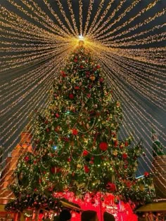 a large christmas tree is lit up with lights