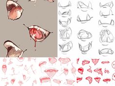 several different stages of drawing an animal's mouth and nose with red paint on it