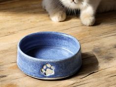 a cat sitting on the floor next to a blue bowl with paw prints in it