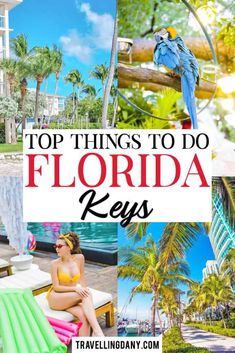 the top things to do in florida keys