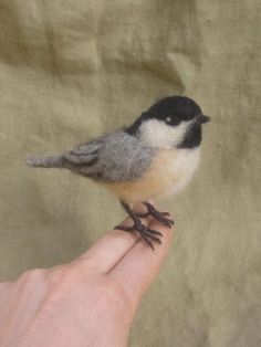 a small bird sitting on top of a persons finger