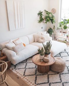 a living room filled with furniture and plants