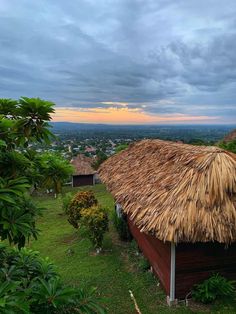 a thatched roof house in the middle of a lush green field with trees and bushes