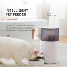 a white cat eating out of a water dish next to an air purificater