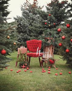 a red chair sitting on top of a lush green field next to lots of trees