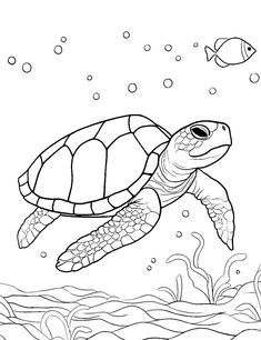 a sea turtle swimming in the ocean coloring page