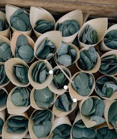 several wooden spoons filled with lots of different types of green plants and leaves on top of each other