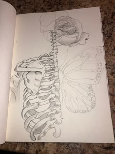 an open book with a drawing of a skeleton and a butterfly on it's side