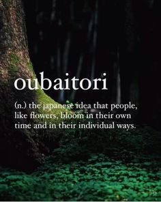 the words obbattorii are in front of a tree with moss growing on it