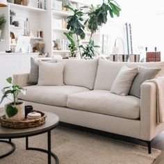 a living room filled with furniture and plants