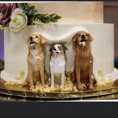 three dogs sitting on top of a cake