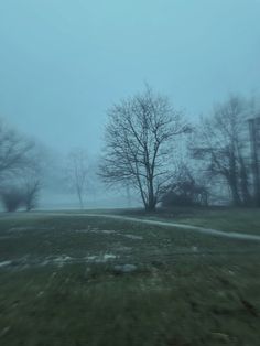 a foggy field with trees in the distance