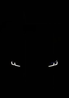 a cat's eyes are lit up in the dark